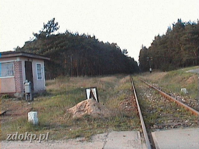 2005-04-25.86 WG wyjazd na Golancz widok na GOL.JPG - ostatni przejazd w Wgrowcu przez lini Wgrowiec - Goacz, widok w kierunku Goaczy